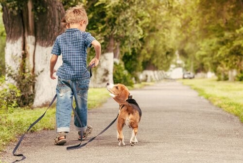 Se vostro figlio ama gli animali si prenderà cura di loro