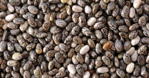 Semi di chia