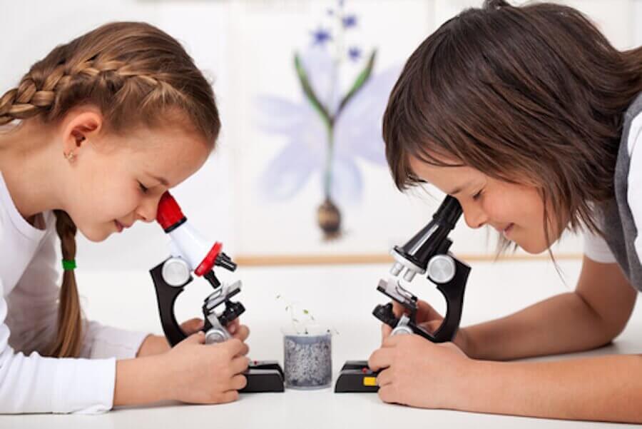 Microscopio per esperimenti per bambini