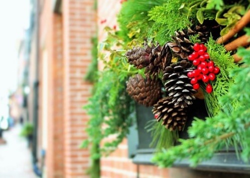 6 idee per decorare il giardino a Natale