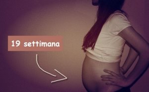 La magia della 19 settimana: ecco cosa accade