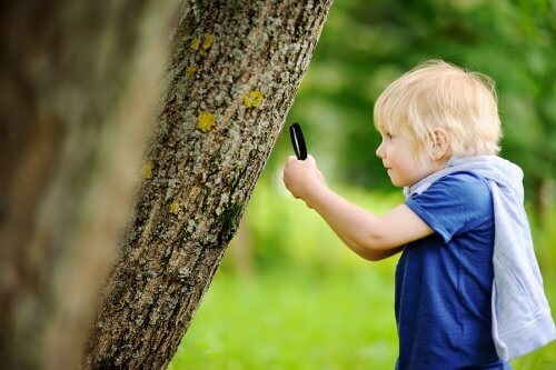 Bimbo studia albero