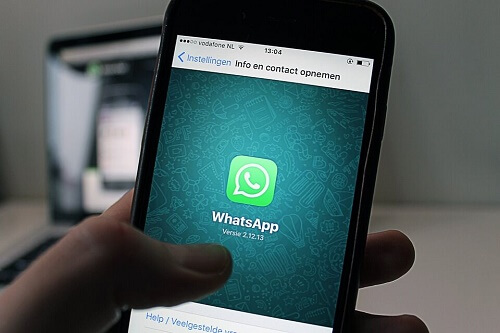 I gruppi WhatsApp dei genitori della scuola