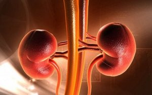 Tumore ai reni nell'infanzia: sintomi e cause