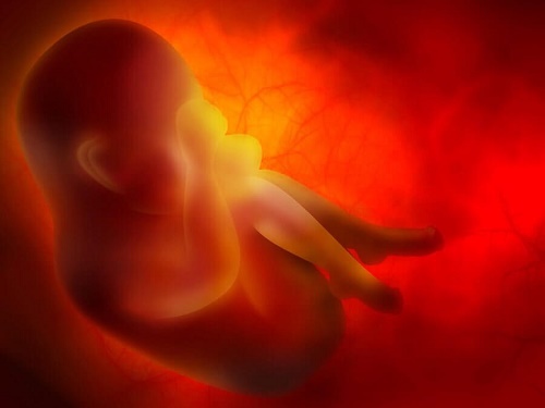 Feto sano nella pancia della mamma