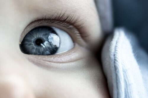 Occhio azzurro neonato