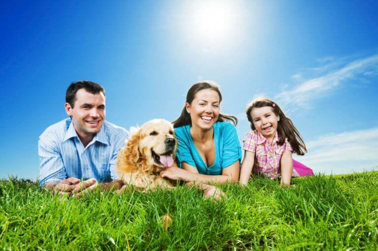 Rinforzo positivo e tecnica del panino