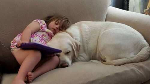 Sadie con il suo cane