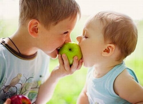 Alimenti che rafforzano il sistema immunitario