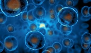 Cellule staminali: come spiegarle ai bambini?