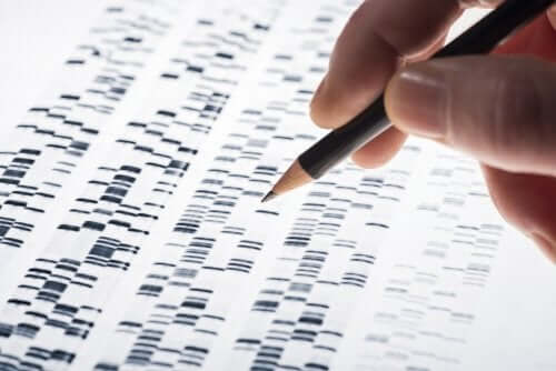 il test del DNA fetale è in grado di identificare tre tipi di trisomia