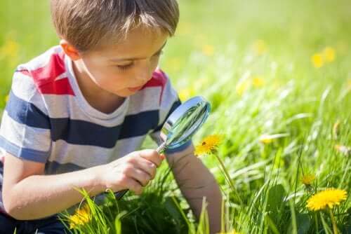 Bambino che guarda l'erba con la lente di ingrandimento