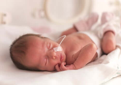 Alimentazione del bambino prematuro: a volte è necessario ricorrere al sondino nasogastrico
