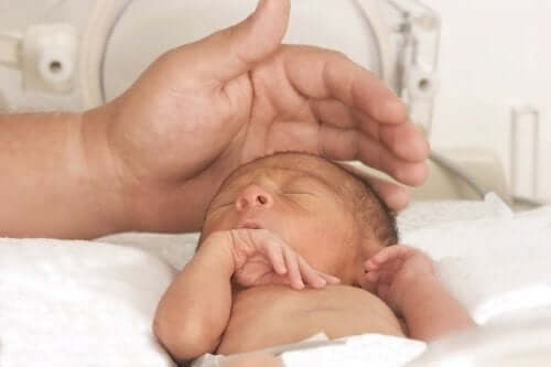 L'alimentazione del bambino prematuro è molto importante per garantirgli una crescita adeguata