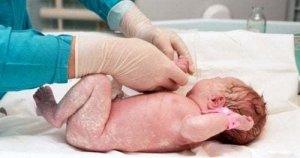 In cosa consiste la semina vaginale?
