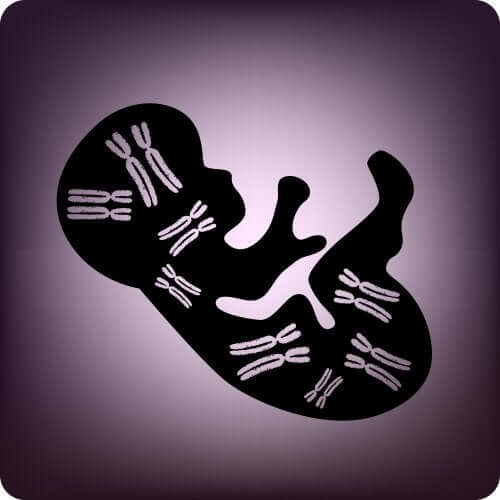 Test del DNA fetale: caratteristiche e vantaggi