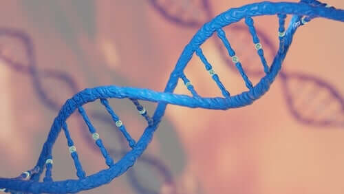 Il DNA determina a chi assomiglierà il bebè