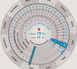 Come calcolare la data di concepimento