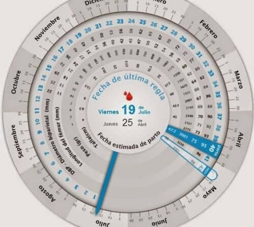 Come calcolare la data di concepimento