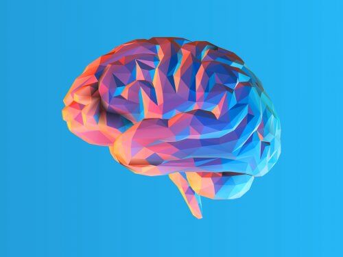 Che cos'è la teoria del carico cognitivo