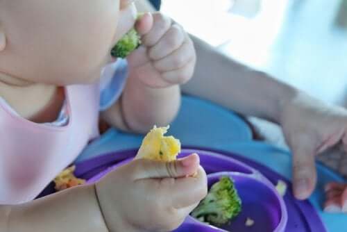 Neonato che mangia secondo il baby led weaning
