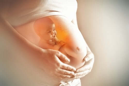 Bambino dentro la pancia della madre.