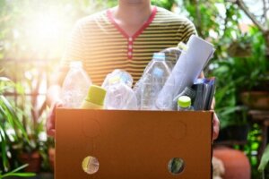 3 attività manuali con le bottiglie di plastica