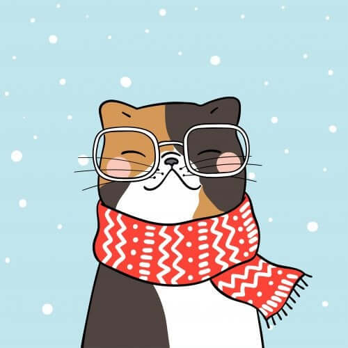 gatto con occhiali e sciarpa che sorride