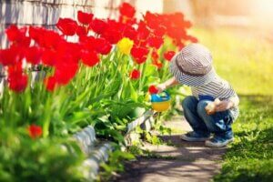 6 libri di giardinaggio per bambini per imparare a amare la natura