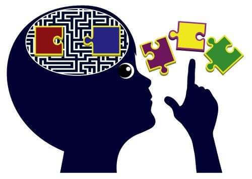 Puzzle del cervello umano