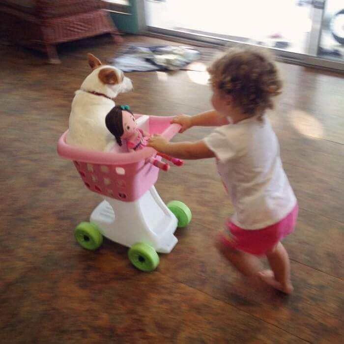 Bambina porta cane e bambola nel carrellino.