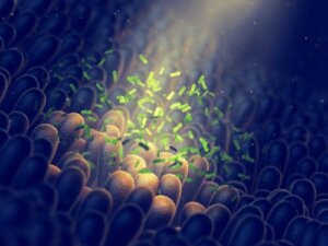 Prebiotici nel latte materno: come funzionano?