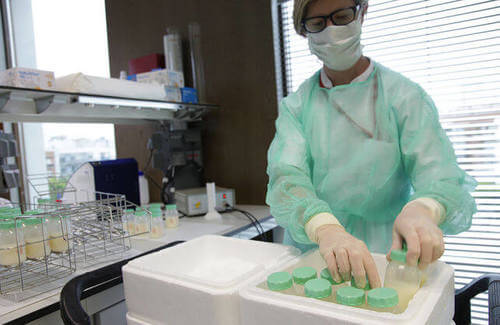 Donazione latte materno: impiegata di laboratorio ripone bottigline di latte.