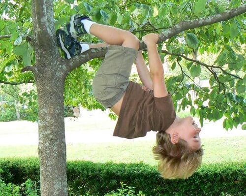 Bimbo che gioca su un albero.