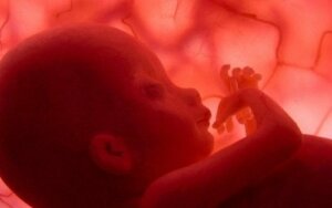 Prolasso del cordone ombelicale: quali sono i rischi?