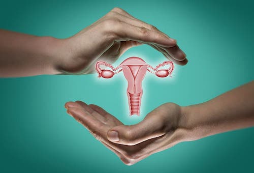 Apparato riproduttivo femminile: com'è e come funziona