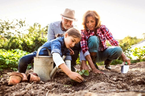Ricordare i nonni: 4 idee per i nipoti