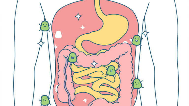 Che cos'è il trapianto fecale e quando è consigliato?