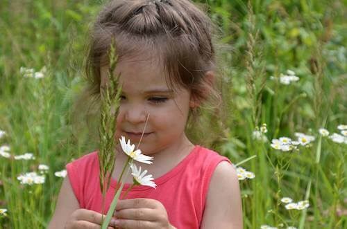 Bambina che cammina in un campo con in mano delle margherite.