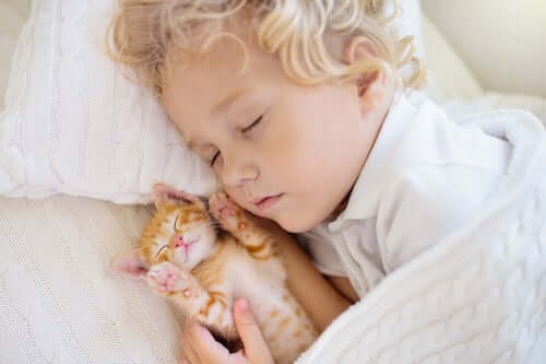 Bambino biondo che dorme insieme ad un gatto.