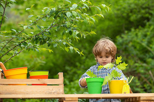 Bambino che pianta delle piante in un vaso.