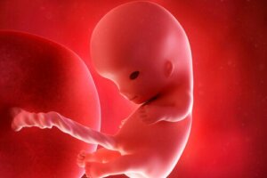 Nona settimana: sintomi, sviluppo del bambino e raccomandazioni