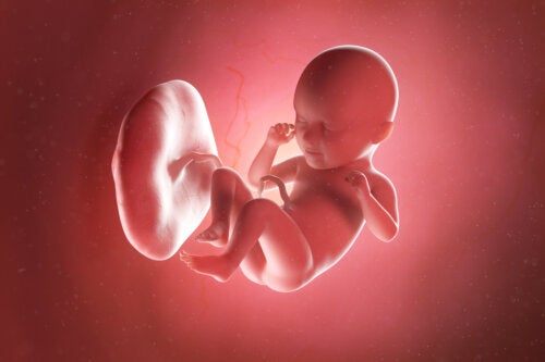 35a settimana di gravidanza: sintomi, sviluppo del bambino e raccomandazioni