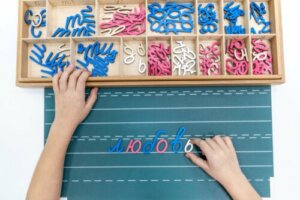 Differenze tra le pedagogie Montessori e Waldorf