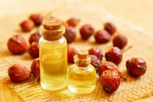 10 benefici della rosa canina in gravidanza
