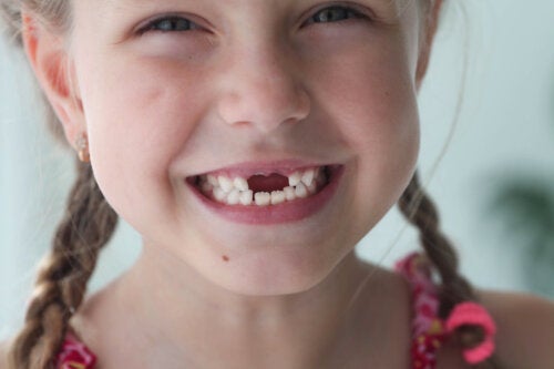 Qual è la funzione dei denti da latte?