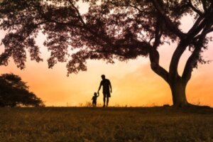 L'albero delle emozioni: cosa dovreste sapere