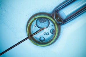 Come scegliere la migliore clinica per la fertilità