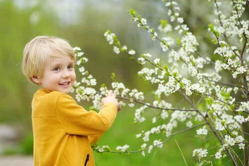 Bambino gioca tra i fiori.