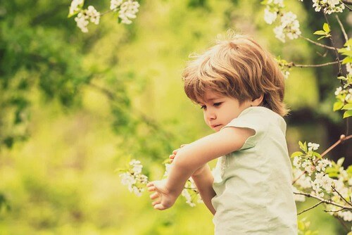 Bimbo viene punto da una vespa.